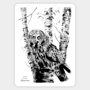 Great grey Owl portrait Sticker